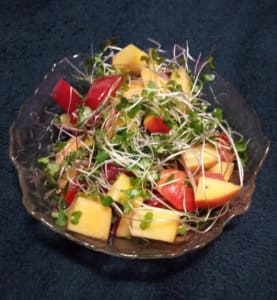 healthy salad with microgreens