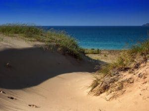 Indiana Dunes National Lakeshore.