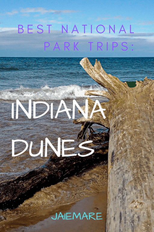 Indiana Dunes National Lakeshore overlooking Lake Michigan