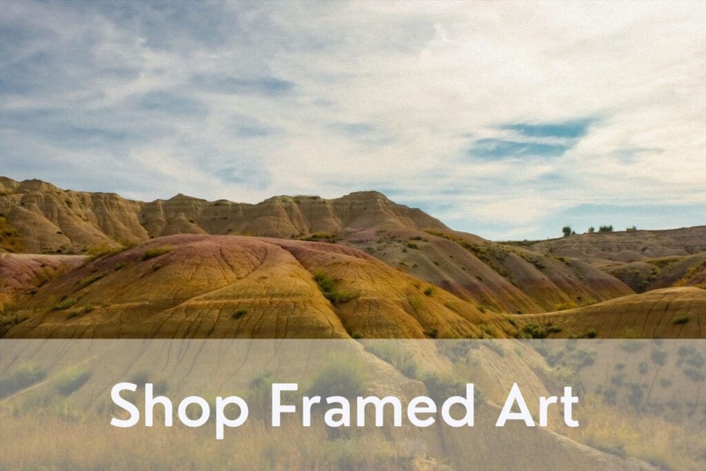 shop framed art